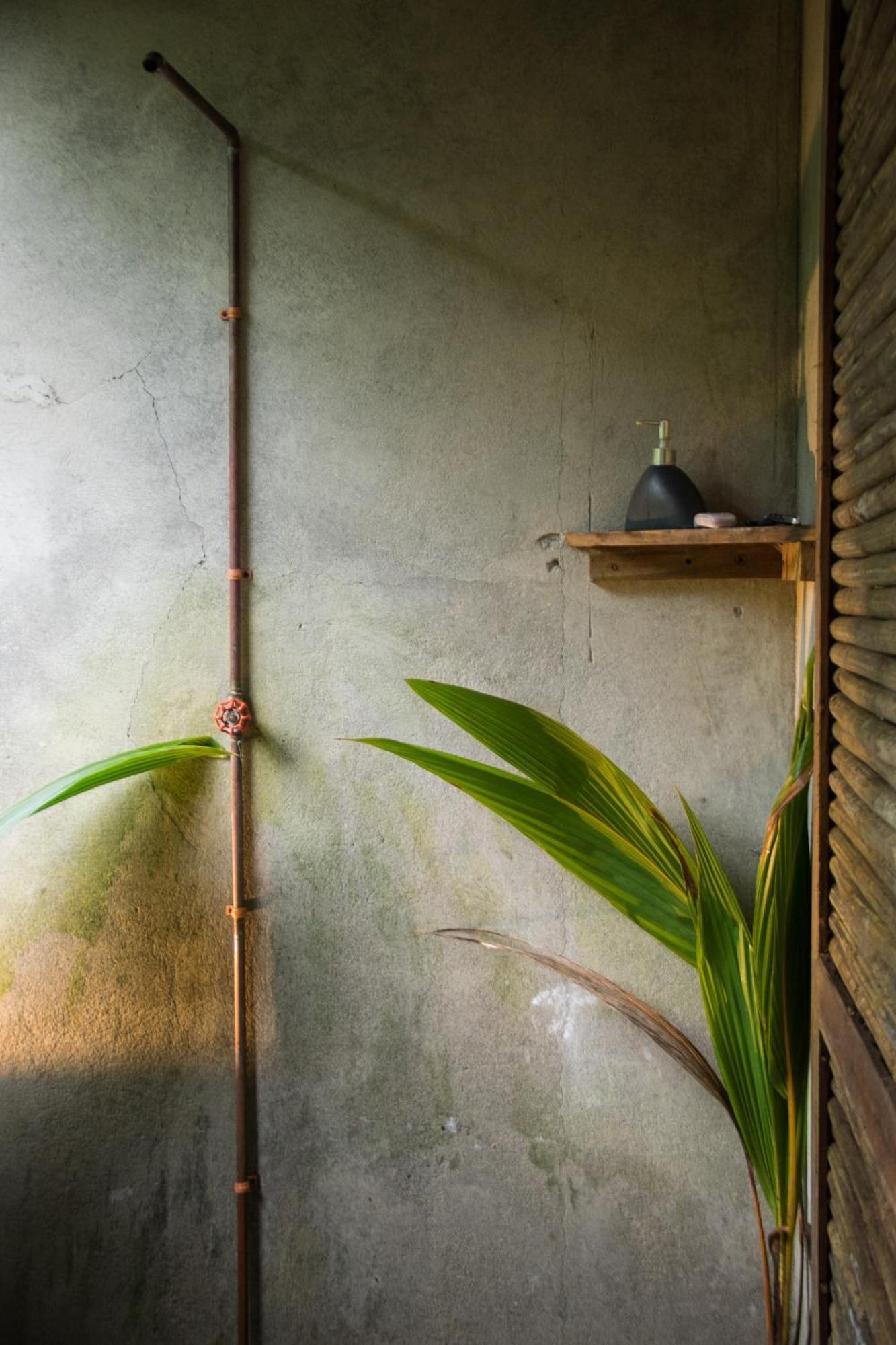 Ecohotel Luzul Nuquí Esterno foto